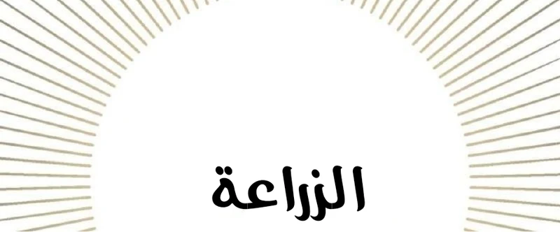 Chapter Image 9